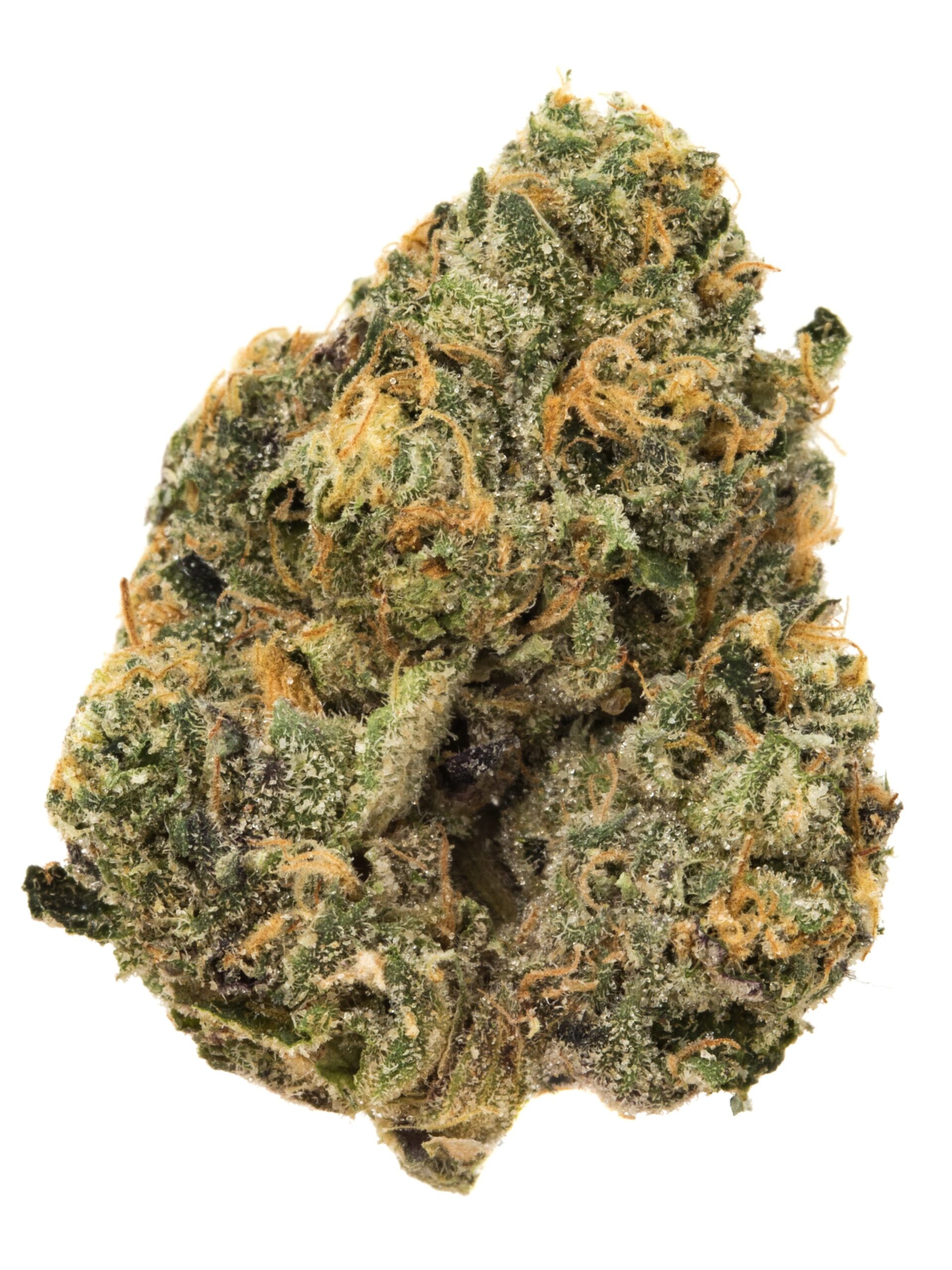 sunsetsherbert.jpg