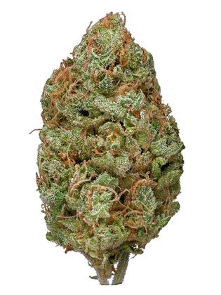 Bubblegum