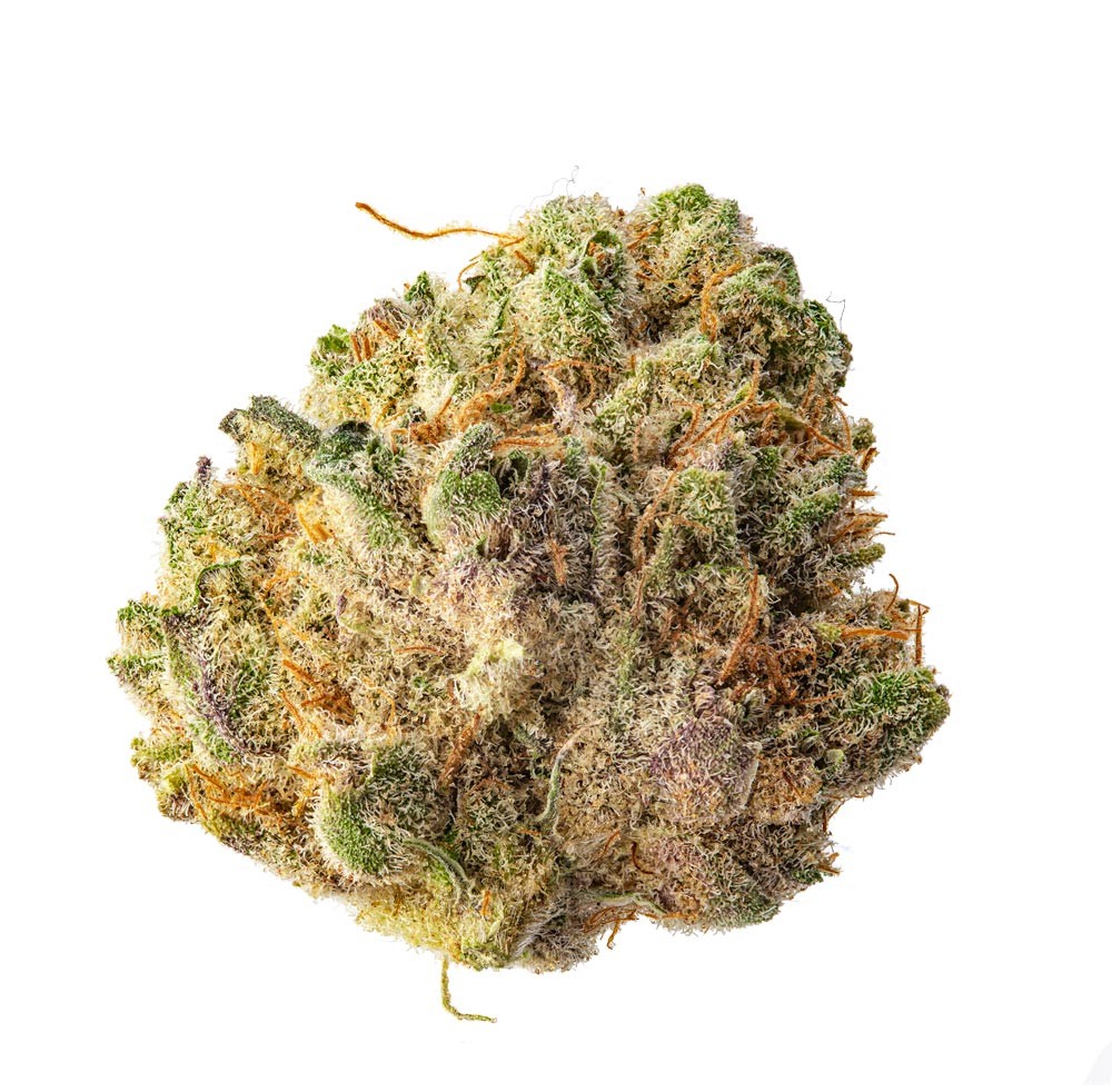papaya