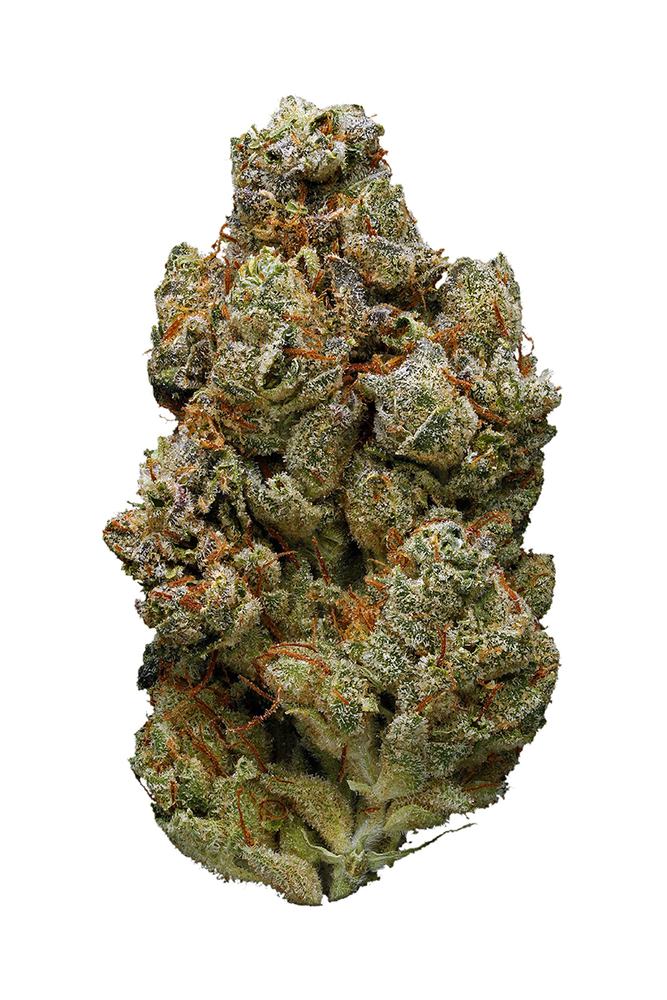 Sour-Lemon-OG-2