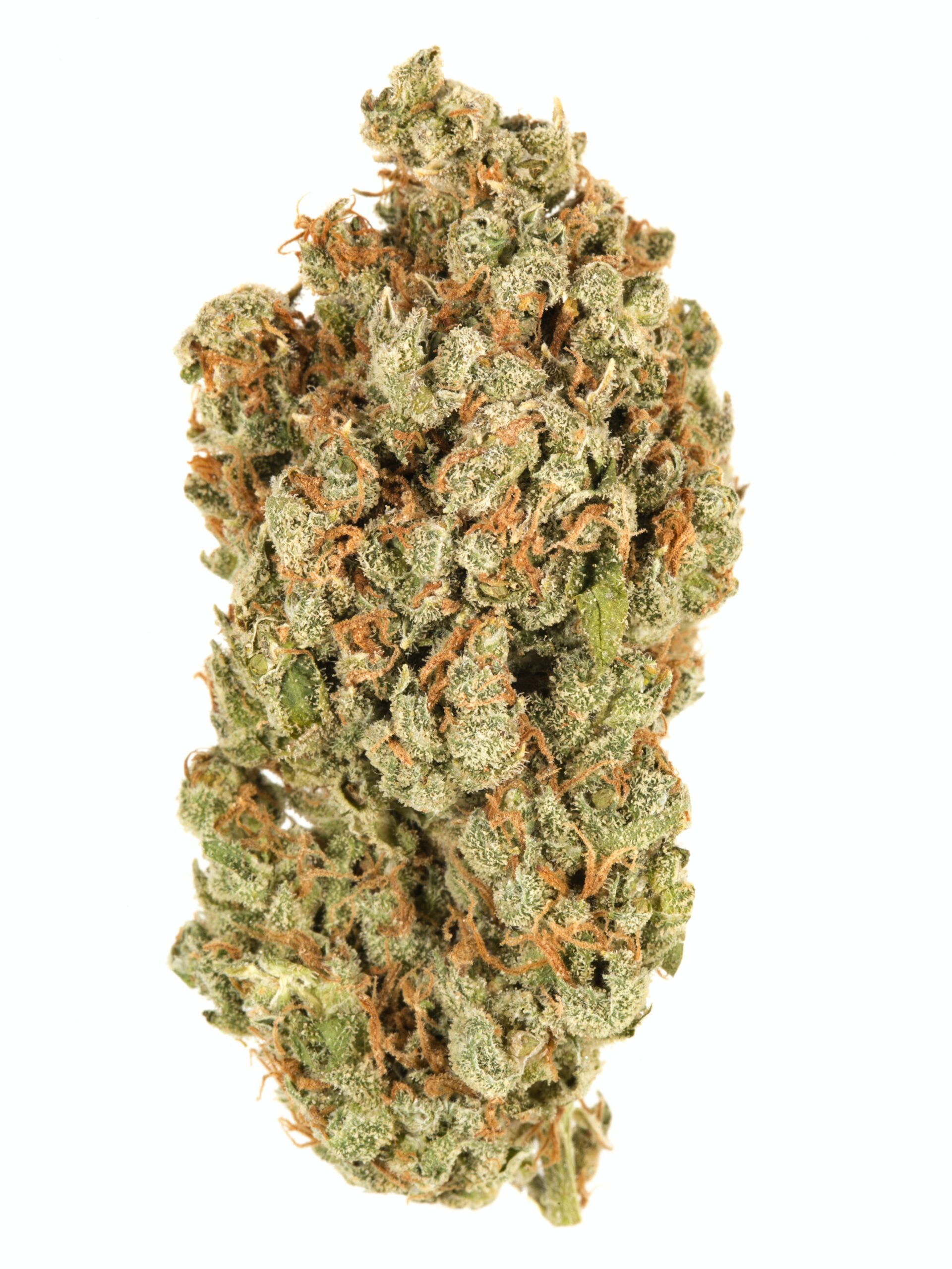 1548717043-180129F_7338_F1_Durban_Poison_1