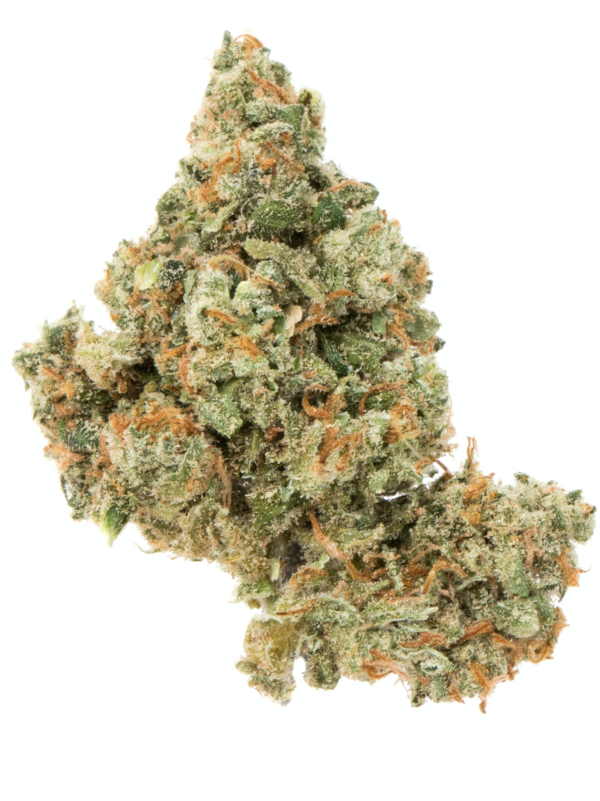 1548718467-171023_41166_JackHerer_1