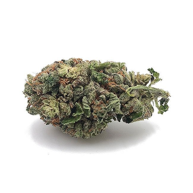Purple-Gorilla-Glue