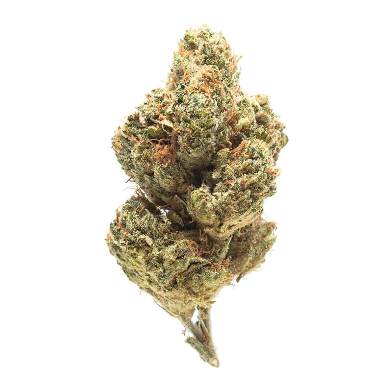 NC-Hells-OG