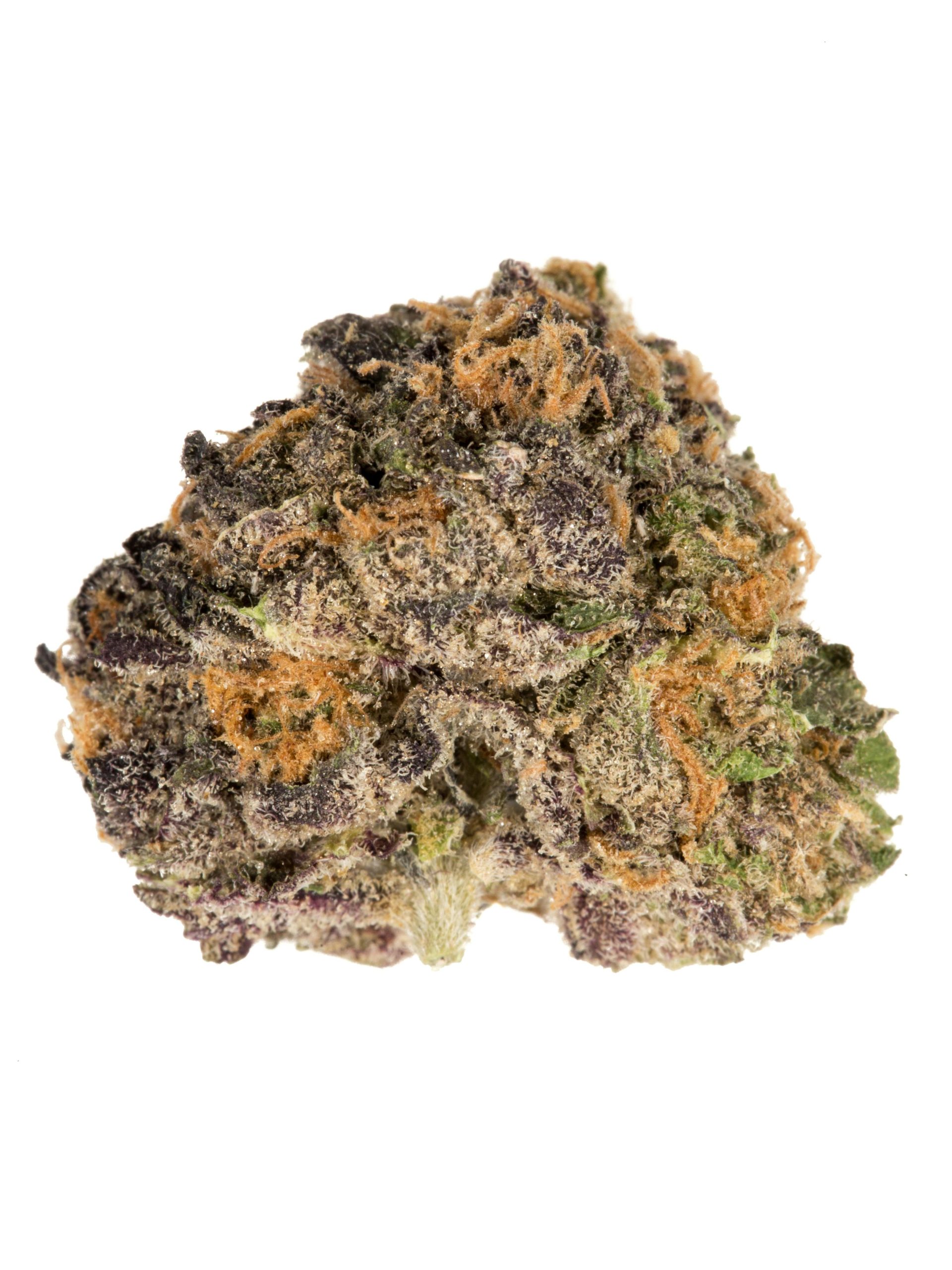 purple urkle