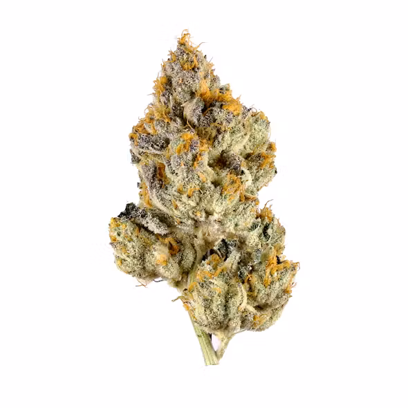 rocky mountain kush