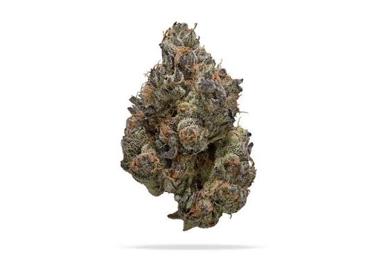 Gorilla Runtz