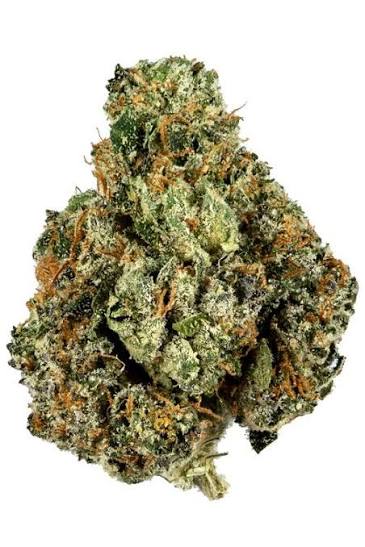 Kush Mountains Mediums