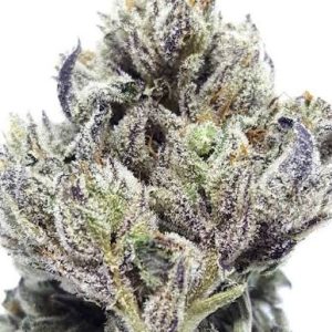 Sour Power OG