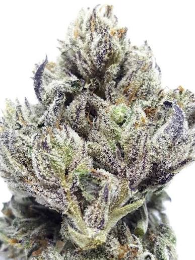 Sour Power OG
